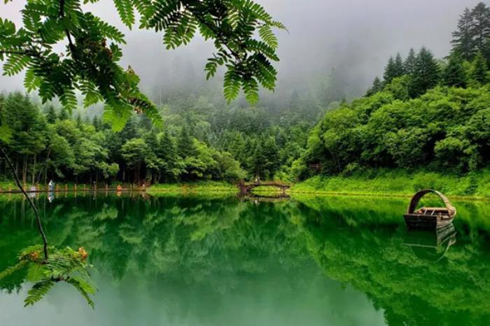 陇南春季有哪些空气好适合踏青地方推荐 陇南春季有哪些空气好适合踏青地方推荐