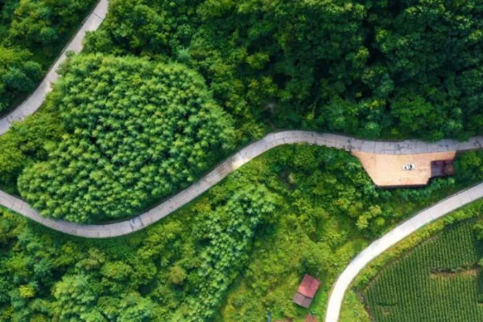 陇南春季有哪些空气好适合踏青地方推荐 陇南春季有哪些空气好适合踏青地方推荐