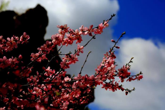 赤峰春季有哪些好玩的旅游线路推荐 赤峰春季有哪些好玩的旅游线路推荐
