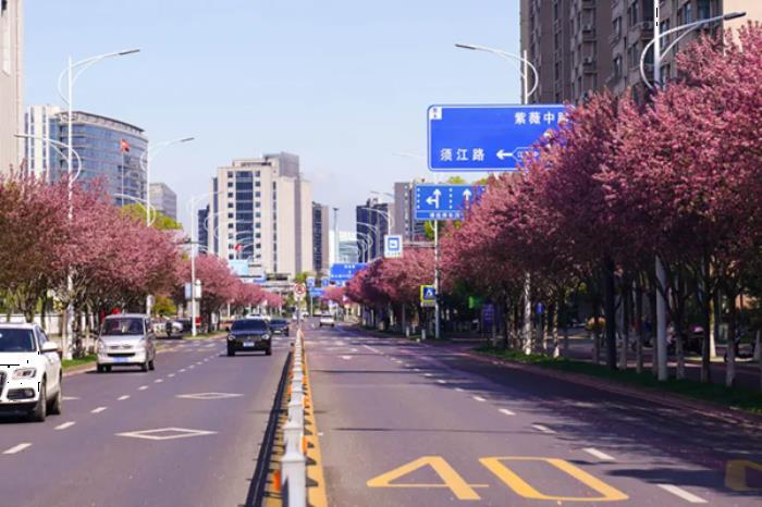 衢州春季市区内有哪些赏花的地方推荐 衢州春季市区内有哪些赏花的地方推荐