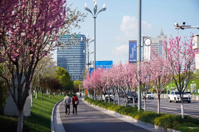 衢州春季市区内有哪些赏花的地方推荐 衢州春季市区内有哪些赏花的地方推荐