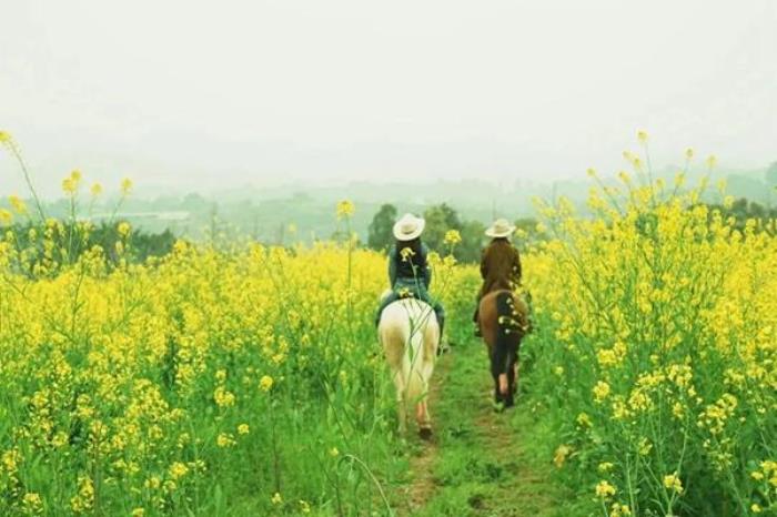 广阳岛好玩吗?有什么好玩的? 广阳岛好玩吗?有什么好玩的?