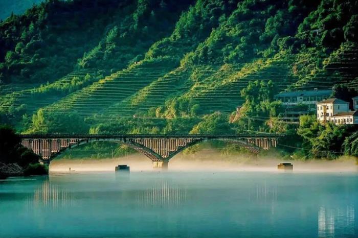 衢州春季有哪些花看?和赏花的地方推荐? 衢州春季有哪些花看?和赏花的地方推荐?