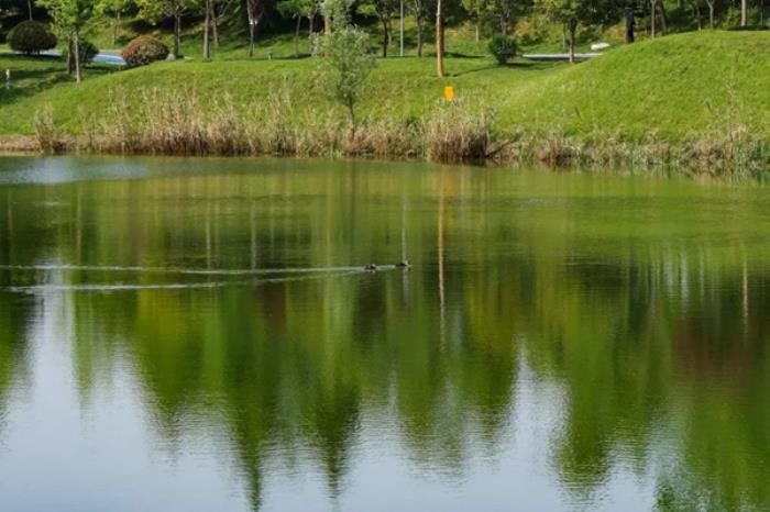 陕西有哪些适合春游的地方 陕西有哪些适合春游的地方