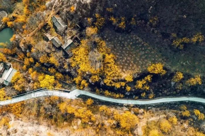 陕西有哪些适合春游的地方 陕西有哪些适合春游的地方