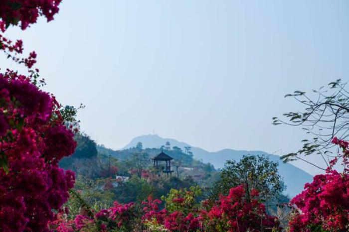 高州粤龙山风景区何时去游玩好 高州粤龙山风景区何时去游玩好