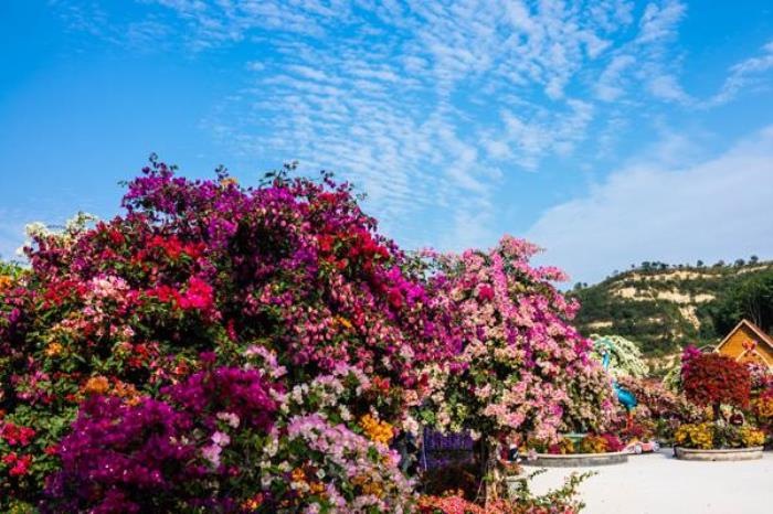 高州粤龙山风景区有什么好玩的 高州粤龙山风景区有什么好玩的