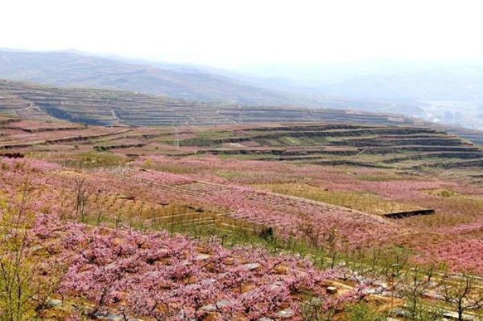 天水秦安春季有哪些旅游线路推荐 天水秦安春季有哪些旅游线路推荐