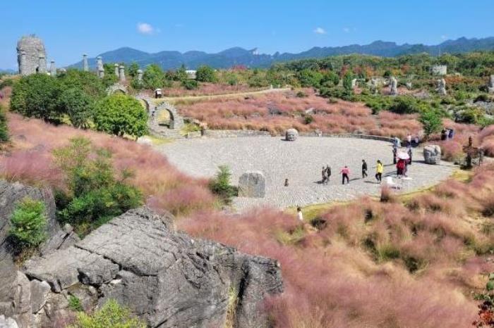 叠石花谷什么时候开花 叠石花谷什么时候开花