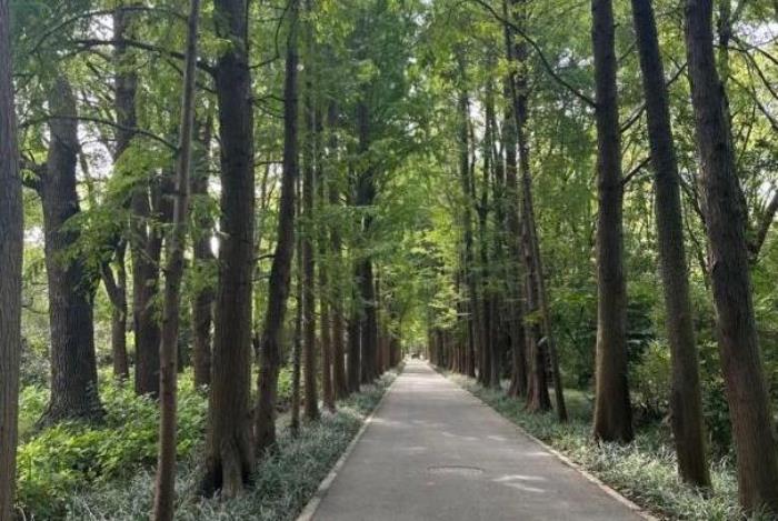 上海郊游景点有哪些 上海郊游景点有哪些