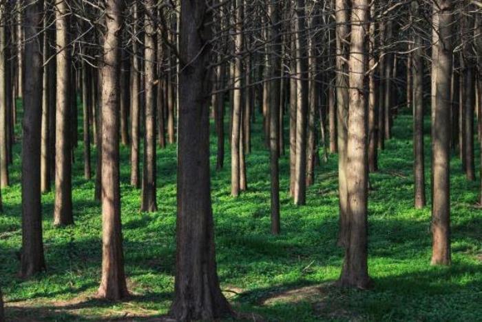 上海郊游景点有哪些 上海郊游景点有哪些