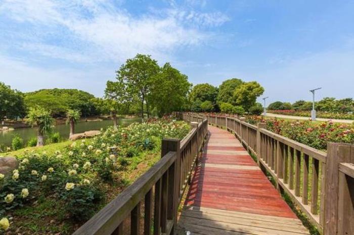 盛泽湖月季园在哪里 盛泽湖月季园在哪里