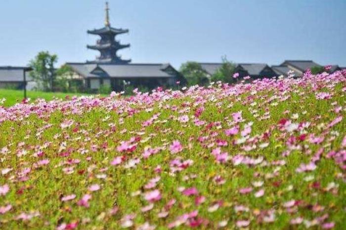 无锡踏青的好地方有哪些 无锡踏青的好地方有哪些