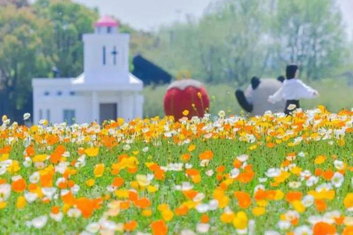 盛泽湖月季园什么时候去最好 盛泽湖月季园什么时候去最好