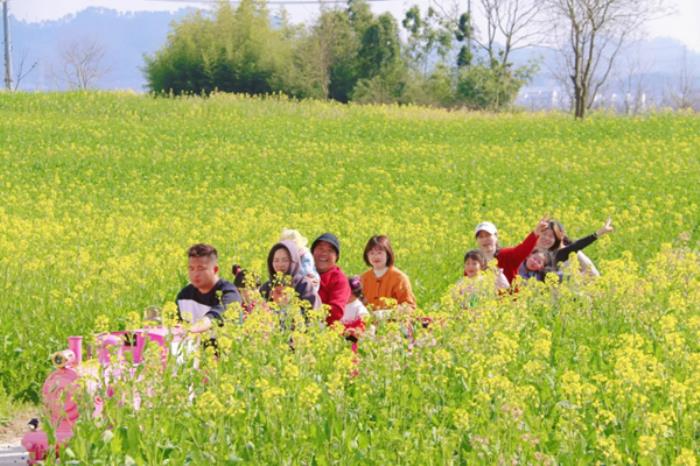 黄山区春季有哪些好玩的自驾游路线推荐 黄山区春季有哪些好玩的自驾游路线推荐