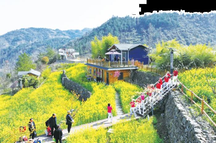 十堰张湾在哪些地方能看油菜花 十堰张湾在哪些地方能看油菜花