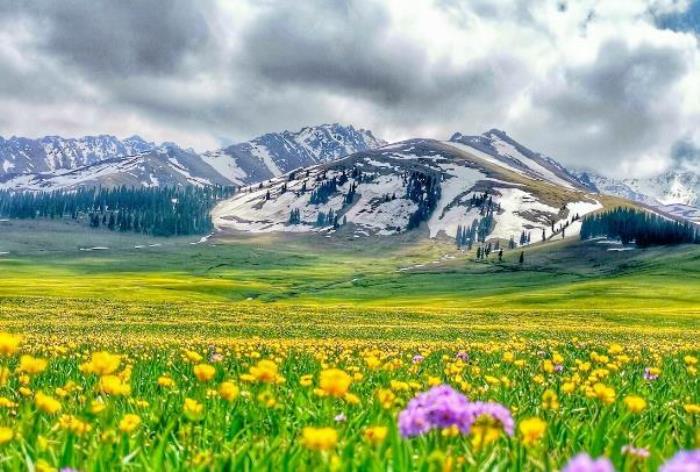 那拉提草原几月份去最合适 那拉提草原几月份去最合适