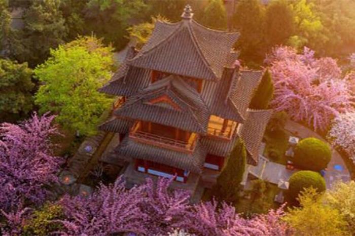 西安青龙寺求什么最灵 西安青龙寺求什么最灵