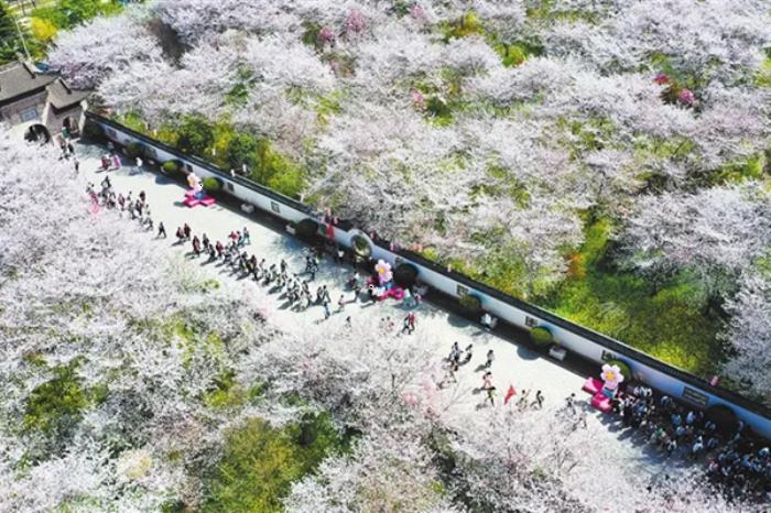 河南春季有哪些赏花的地方推荐 河南春季有哪些赏花的地方推荐