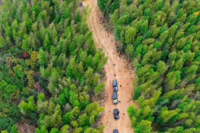 衢州春季有哪些花看？和赏花的地方推荐？