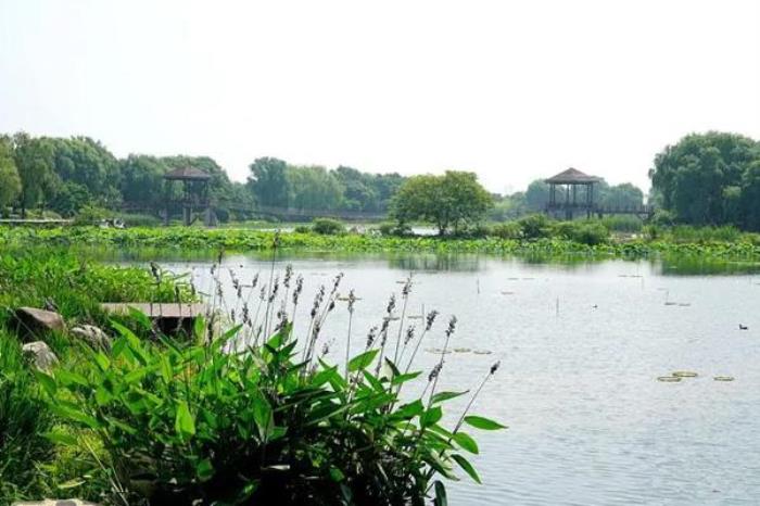 荷塘月色湿地公园什么时候去最好