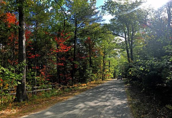 中山弗烈物流有限公司