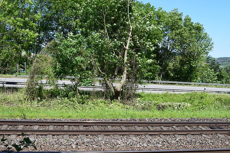 芜湖耀福物流有限公司