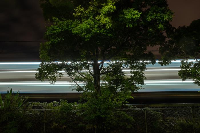 梧州市伟子物流有限公司