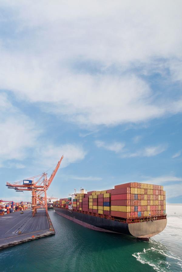 广州市洋洋物流有限公司