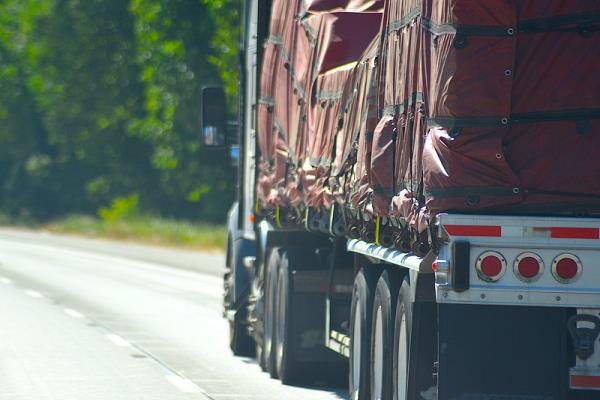 广州市白鲸国际物流有限公司