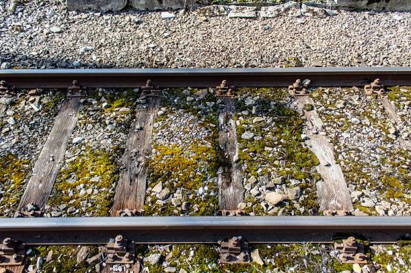 广西新安盛物流有限公司