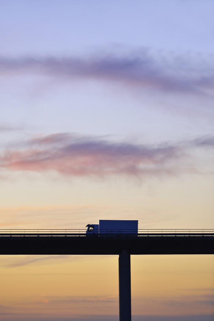 广西狮子头物流有限公司