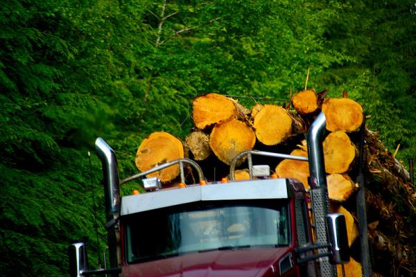 度森物流（上海）有限公司