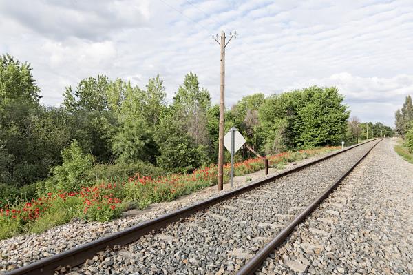 惠州市凌达物流有限公司