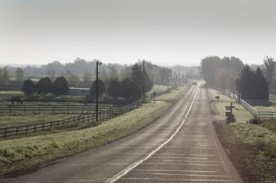中山市顺旺物流有限公司