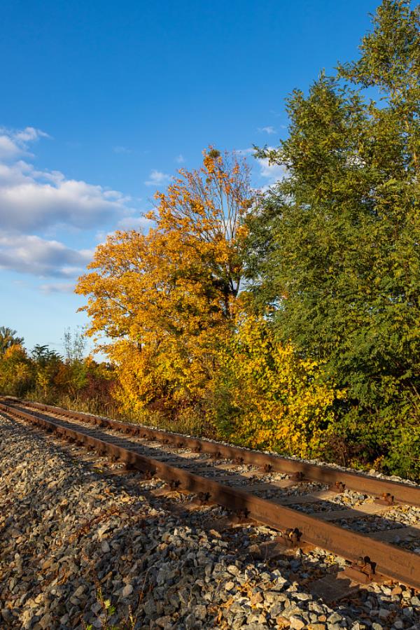 佛山市中嘉物流有限公司