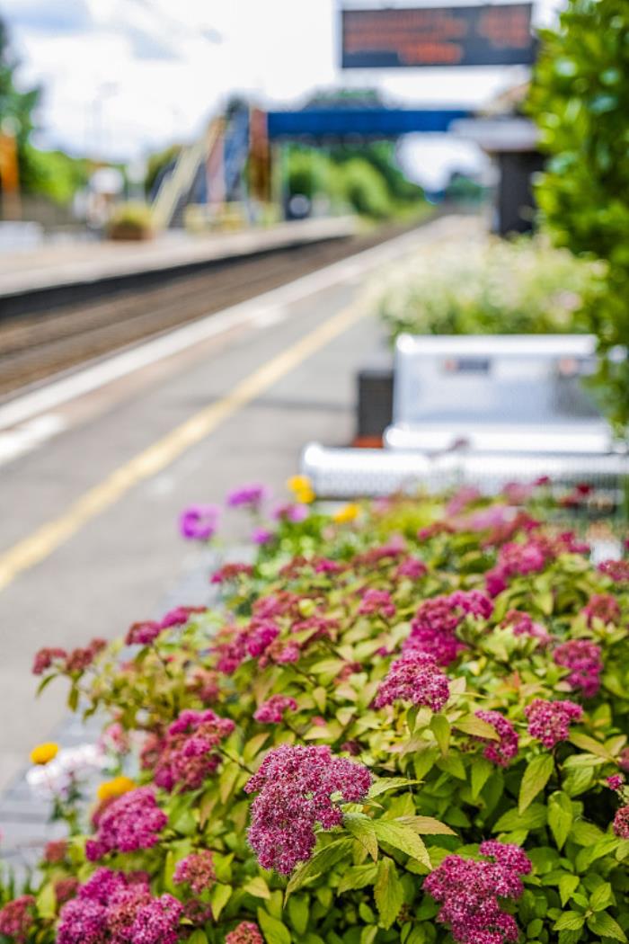 惠州市环宇物流有限公司