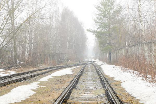广东辰瑞国际物流有限公司