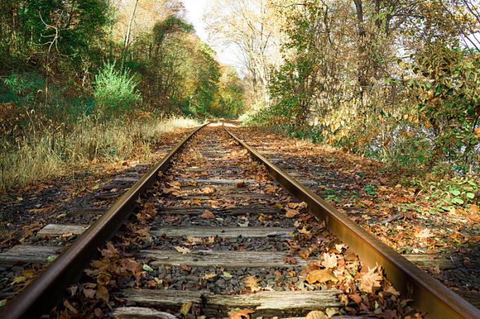 靖西市潇洛物流有限公司