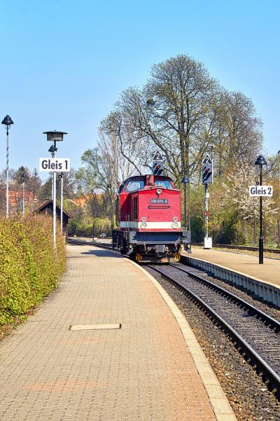 深圳市蜂行物流有限责任公司