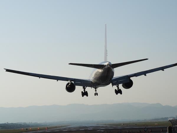 北海金洋物流有限责任公司