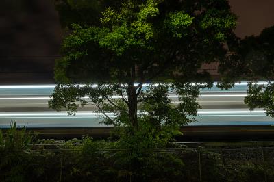 梧州市伟子物流有限公司