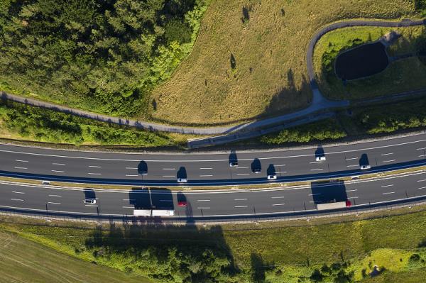 广州劲平物流有限公司