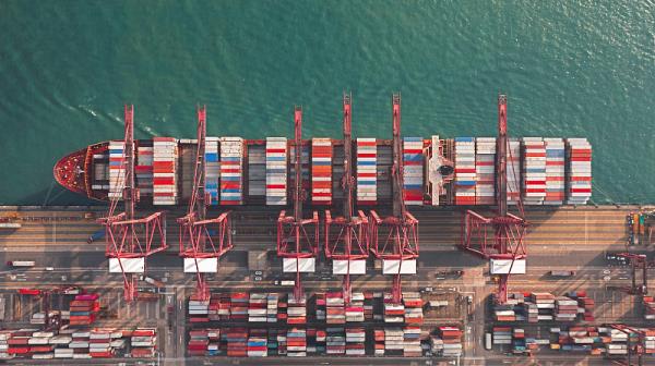 东莞睿峰物流有限公司