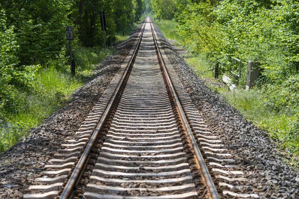 广州市金板车物流有限责任公司