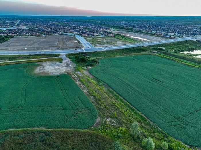 上海翼德国际物流有限公司