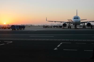 深圳开於源国际物流有限公司