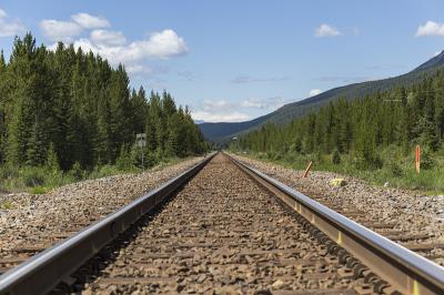 上海飞闪物流有限公司