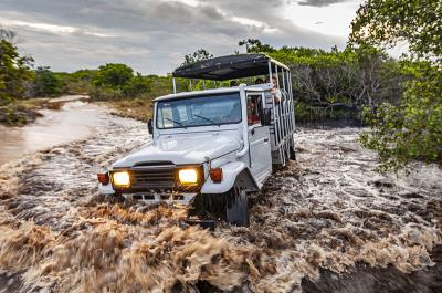 东莞市南方物流集团有限公司