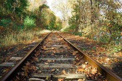 靖西市潇洛物流有限公司